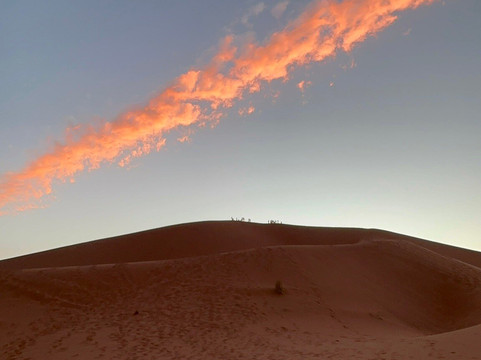 Mélodie du désert-迈哈米德必去景点