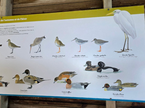 Parc du Marquenterre-Saint-Quentin-en-Tourmont必去景点