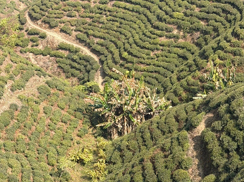 Himalaya Darshan Treks Pvt. Ltd-加德满都必去景点