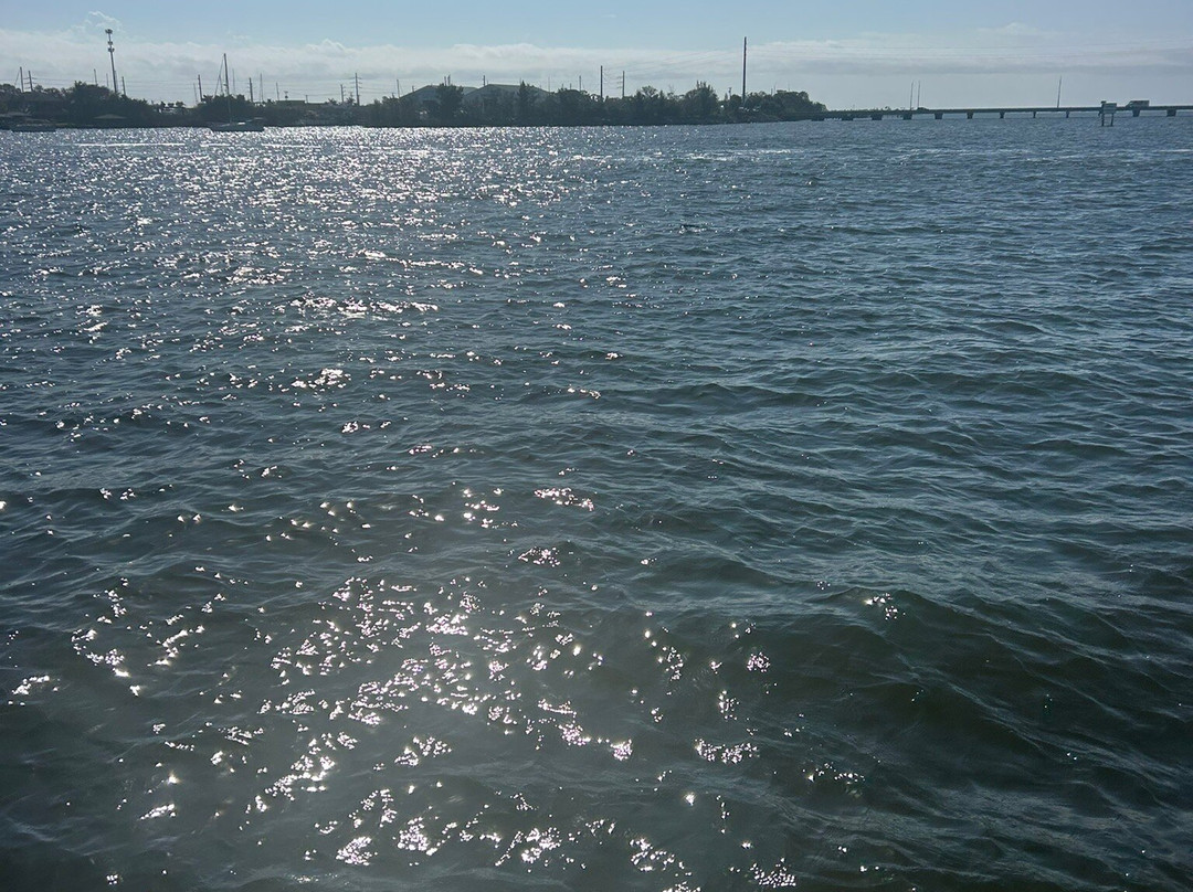 Good Natured River Tours-墨尔本必去景点