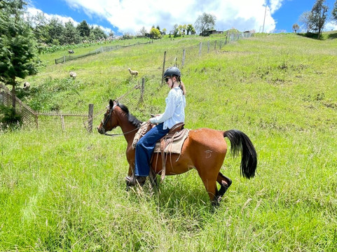 Centro Ecuestre Bellavista-昆卡必去景点