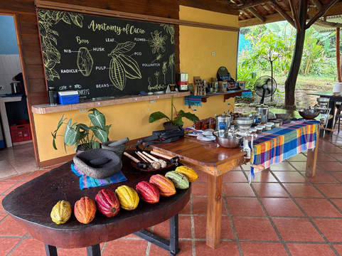 Two Little Monkeys Chocolate Tour-福德圣卡洛斯必去景点