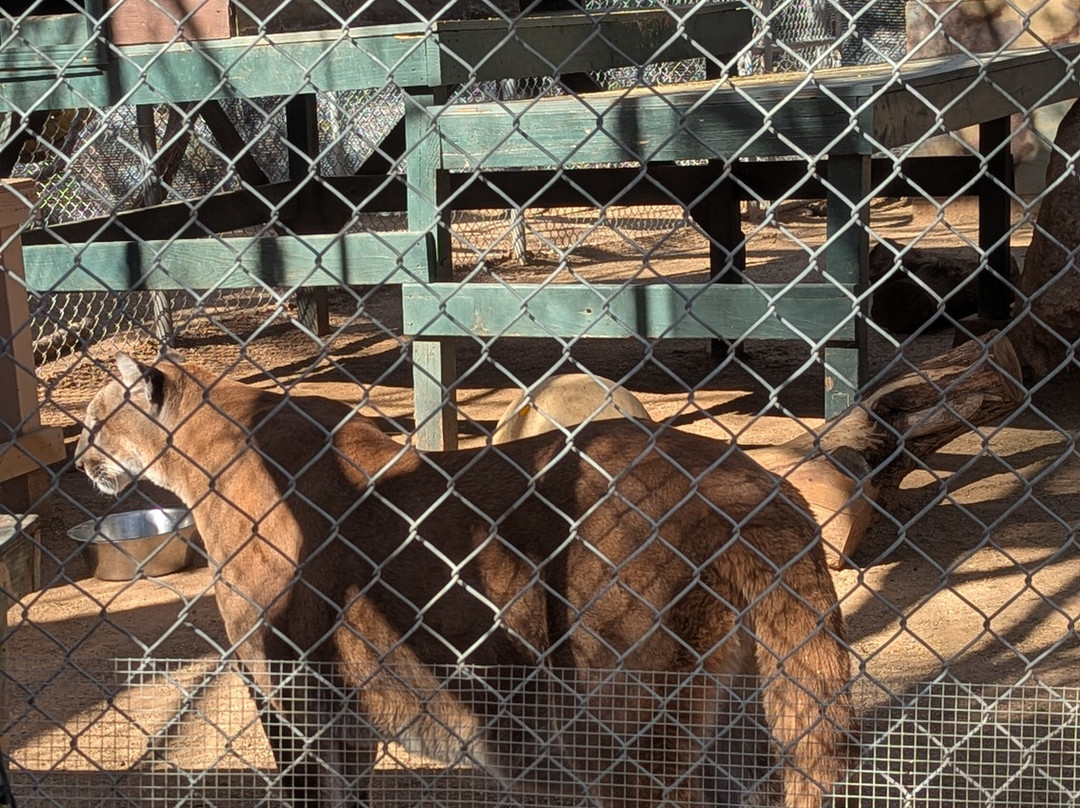 Southwest Wildlife Conservation Center-斯科茨代尔必去景点
