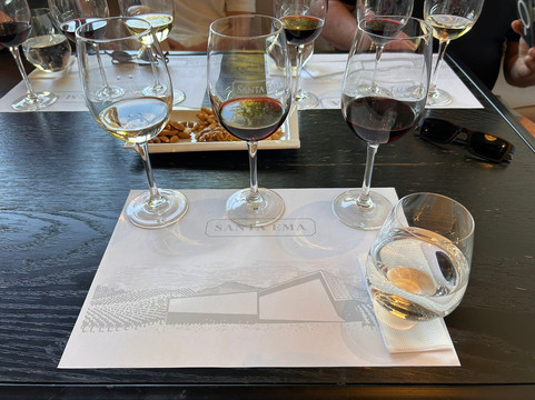 Viña Santa Ema-Isla de Maipo必去景点