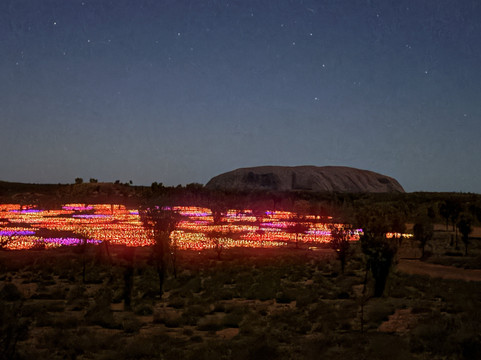 Field of Light-乌鲁鲁-卡塔丘塔国家公园必去景点