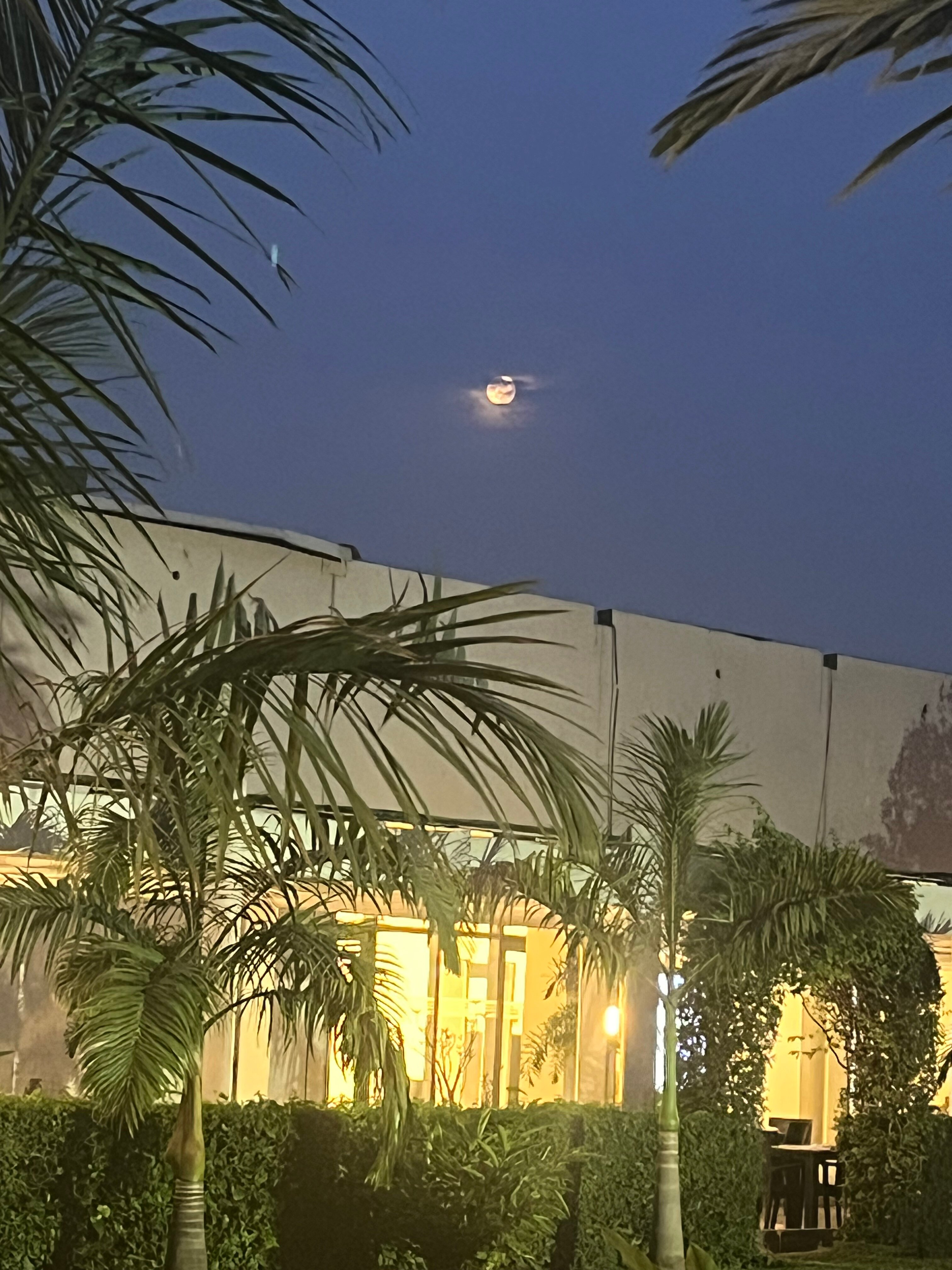 阿布贾大陆酒店-浴室