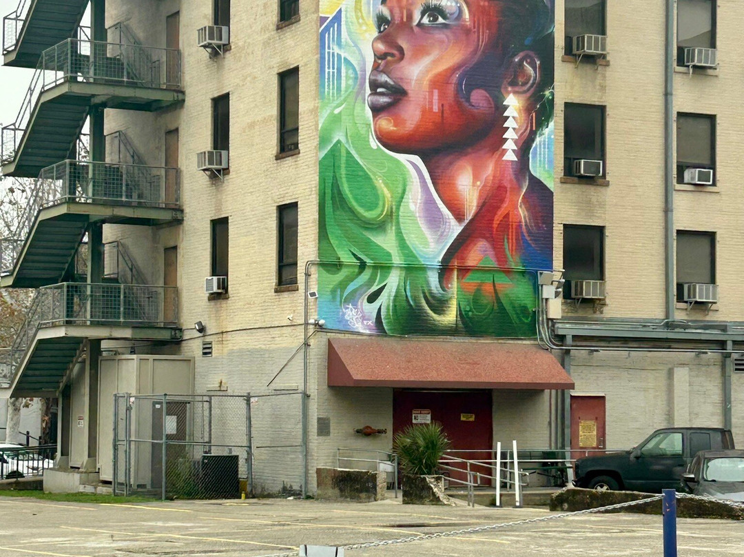 Segway Tours of Houston-休斯顿必去景点