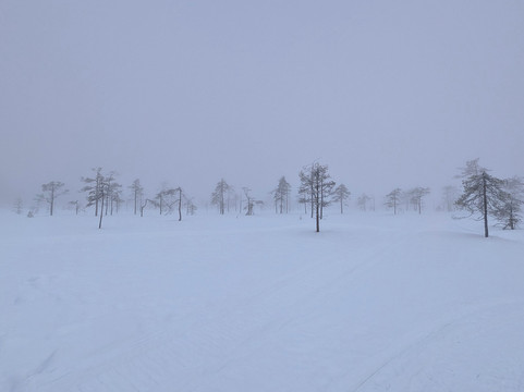 Aavasaksa Adventures-Ylitornio必去景点