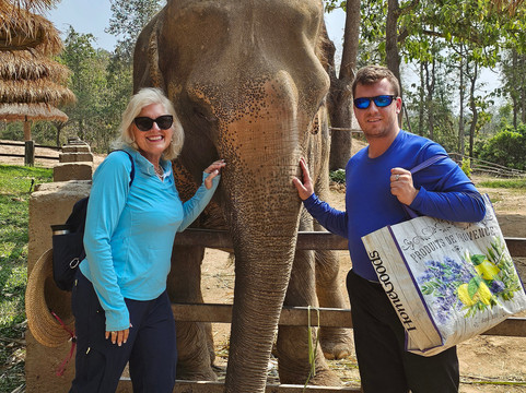 Maerim Elephant Sanctuary-夜林必去景点