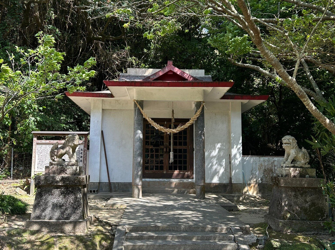 Shodon Deigo Trees-濑户内町必去景点