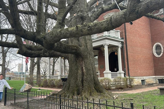 Benjamin Harrison Presidential Site-印第安纳波利斯必去景点