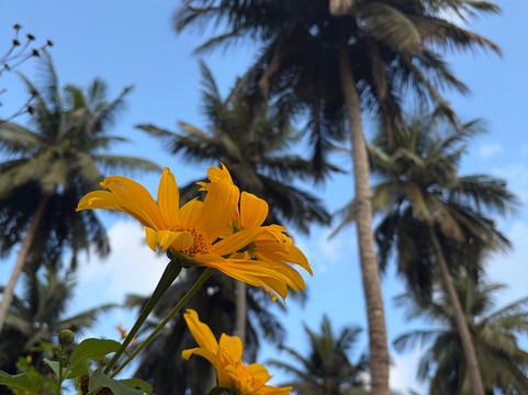 NomadicTribes | Andaman-Swaraj Dweep必去景点