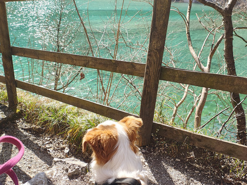 Cascata della Soffia-Sospirolo必去景点