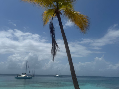 El Gitano del Mar-埃尔波韦尼尔必去景点