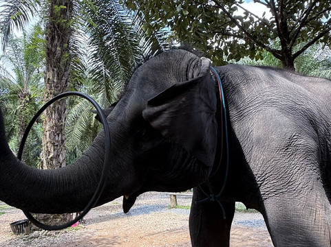 Phuket Cheap Tour-普吉岛必去景点