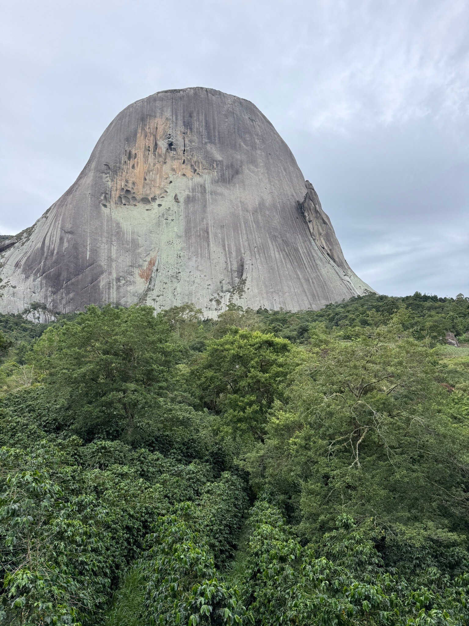 拉博拉加尔托旅馆-官方