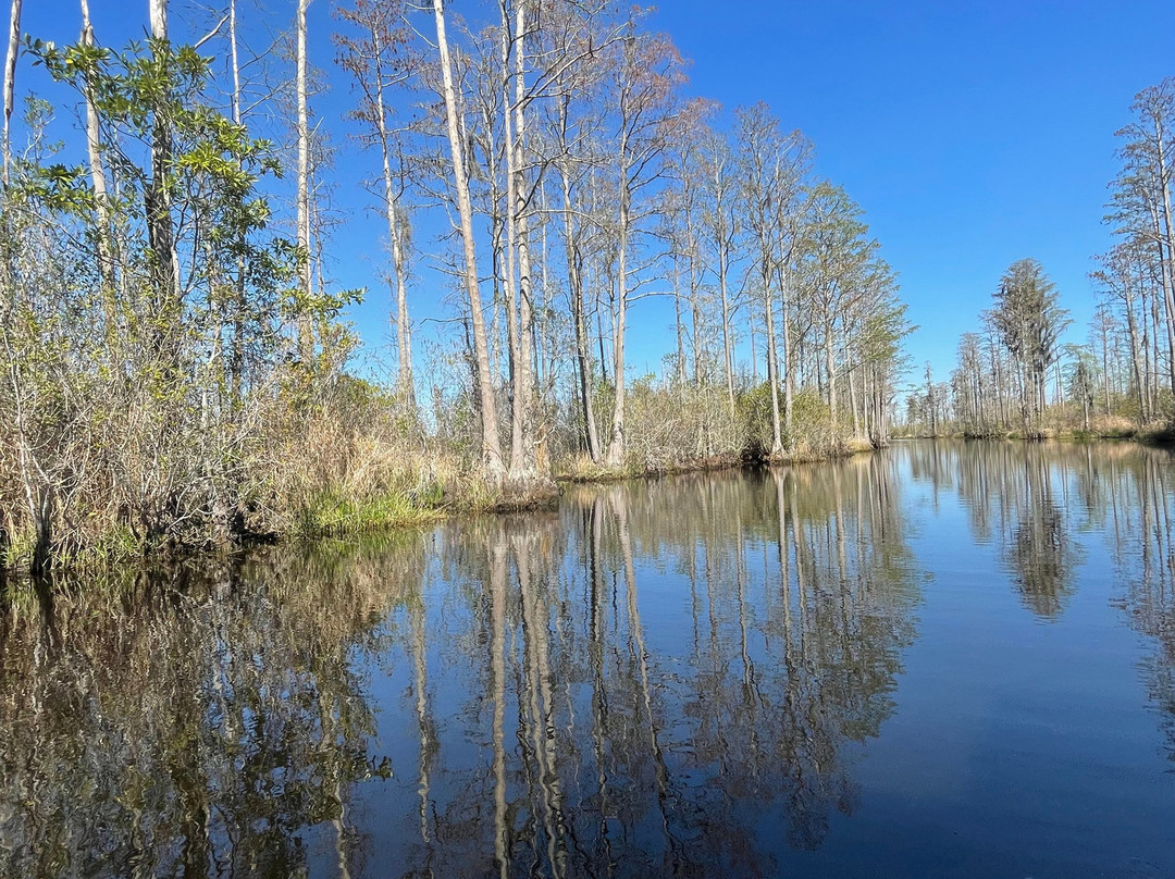 Okefenokee Adventures-Folkston必去景点