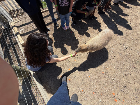 Grapetown Vineyard-弗雷德里克斯堡必去景点