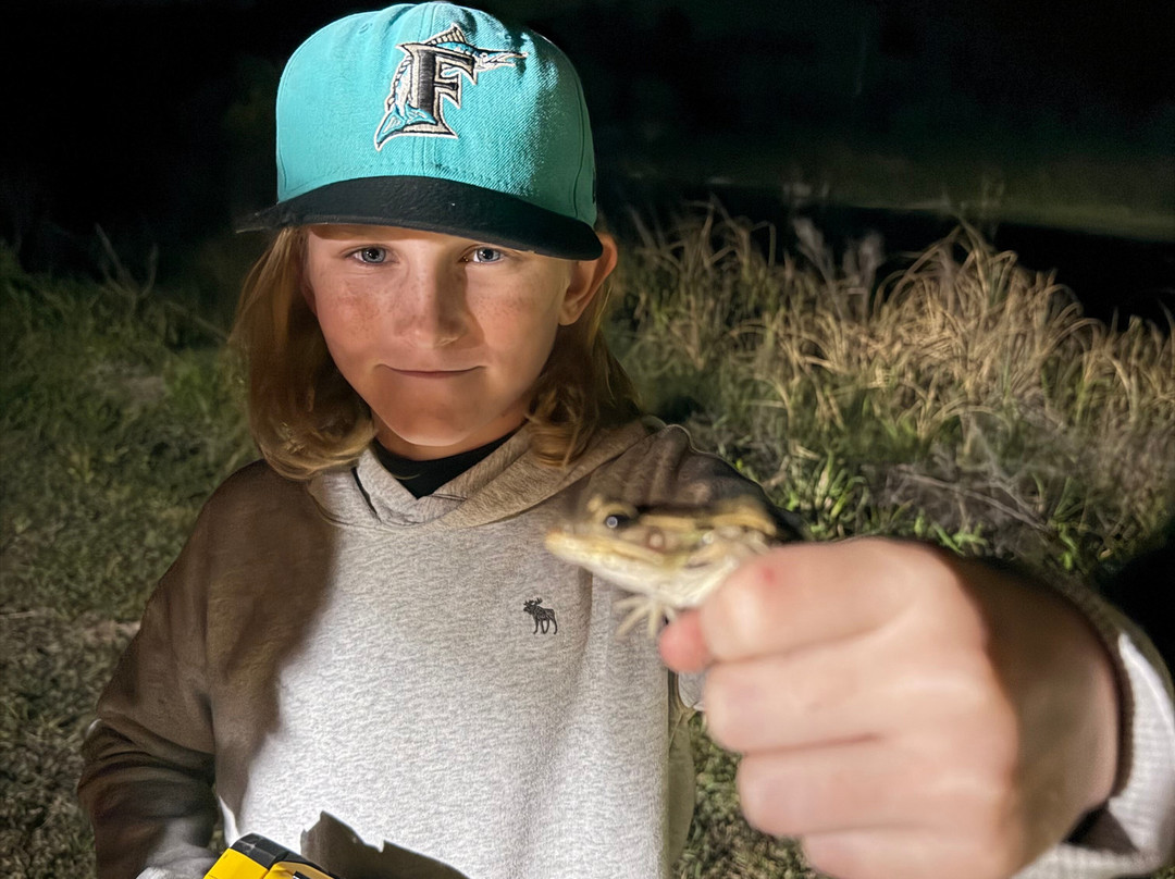 Tour The Glades - Private Wildlife Tours-大沼泽地必去景点