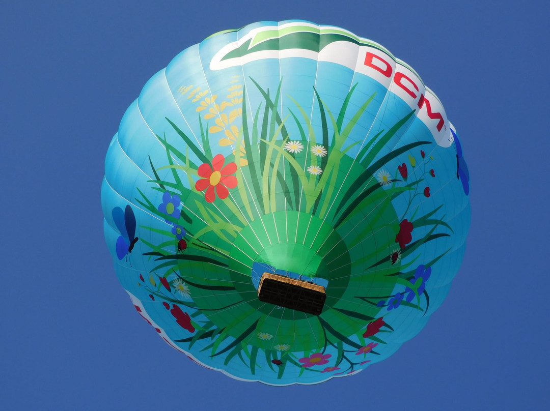 C-Air Ballonvaart-Waasmunster必去景点