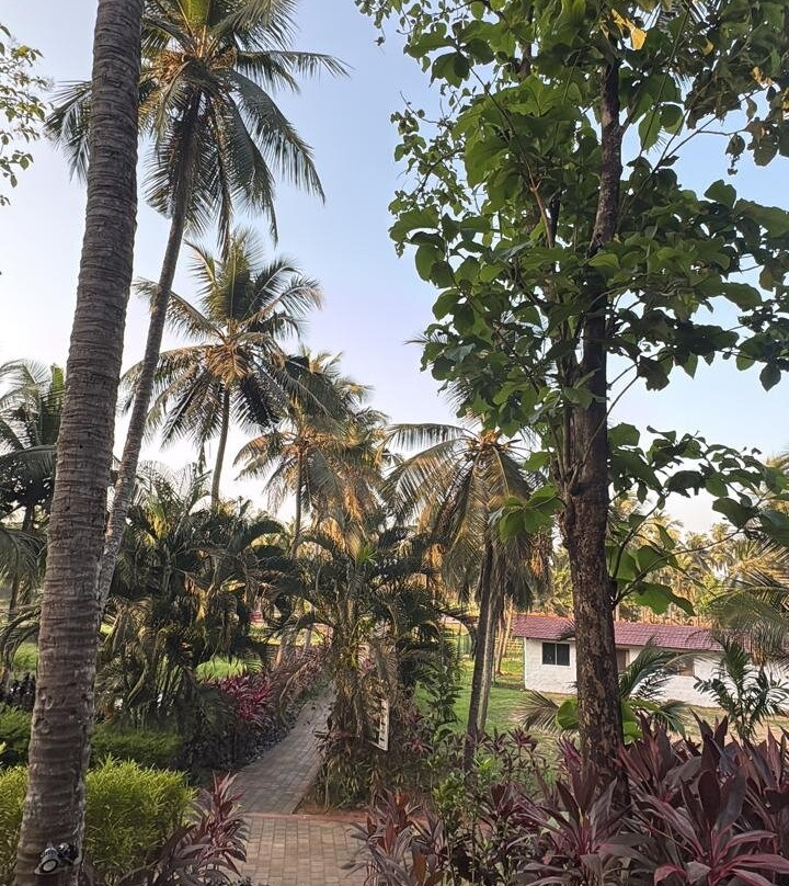 鲁斯特河度假村主图