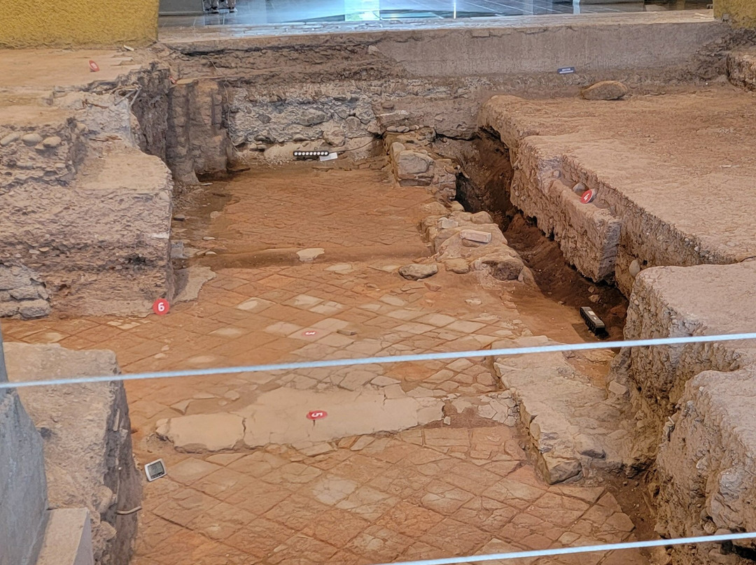 City Bus Mendoza-门多萨必去景点