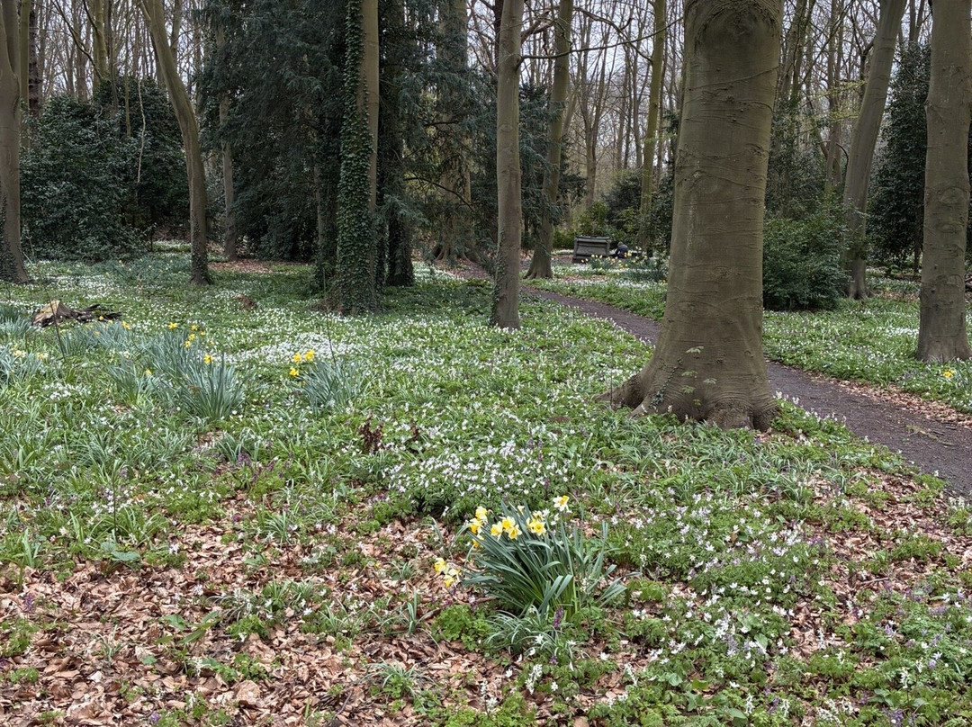 Leidse Hout Park-莱顿必去景点