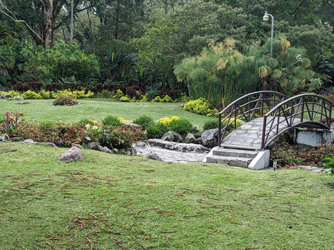 Panama Relocation Tours-波魁特必去景点