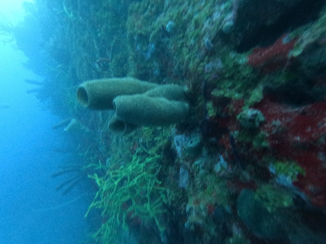 Anda Di Wata Dive School-Providencia Island必去景点