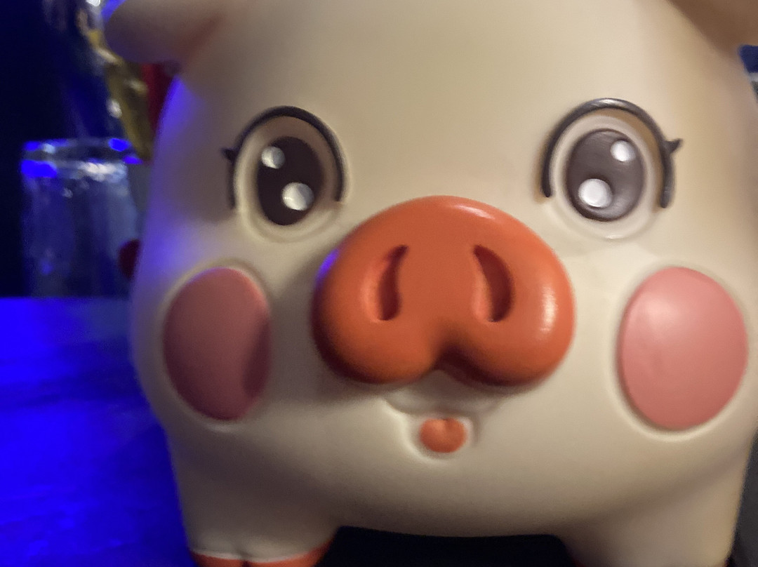 Malè Modern Brasserie