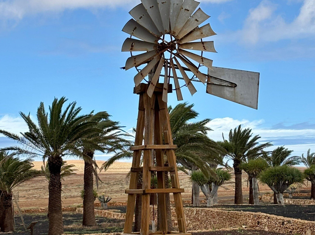 Museo del Queso Majorero-Antigua必去景点