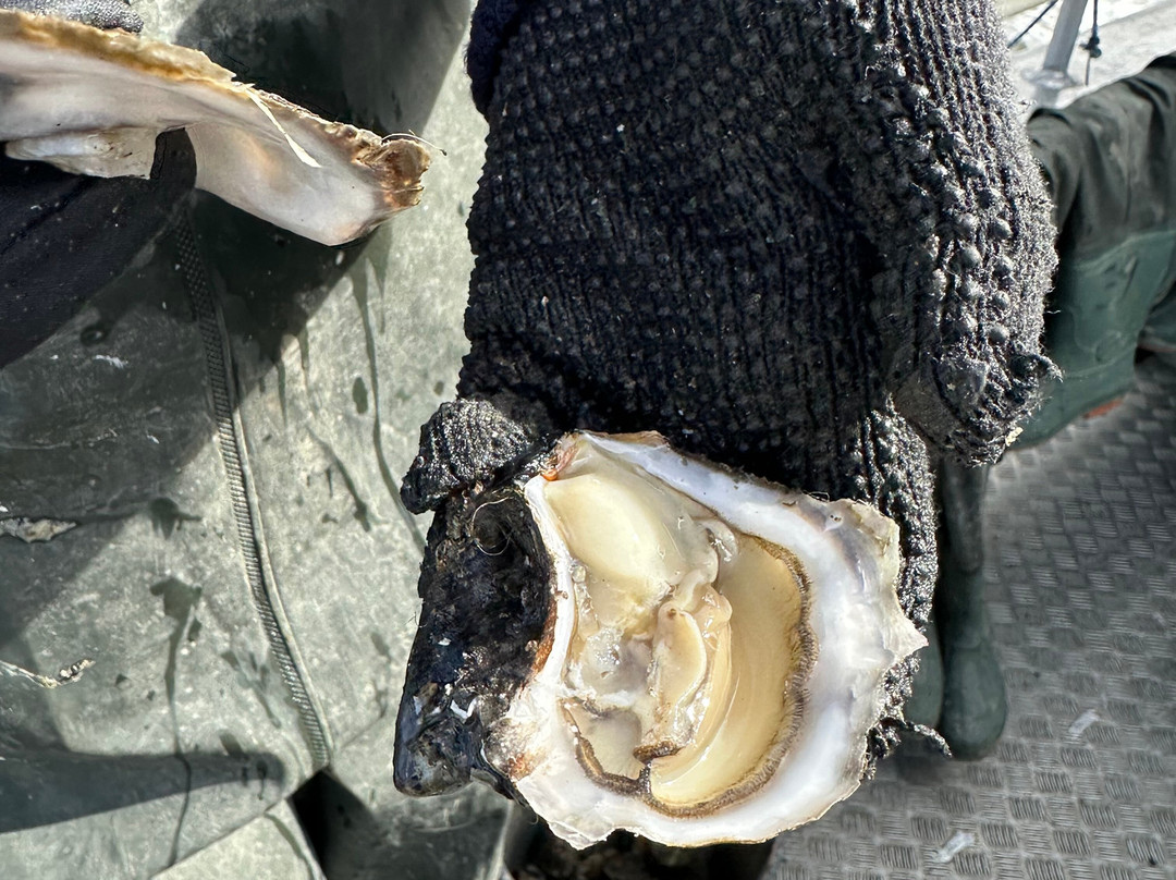 Turfaergen Mandopigen-Mandoe必去景点