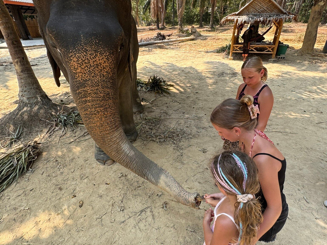 Lanta Elephant Sanctuary-兰塔岛必去景点