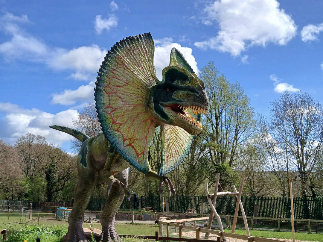 Jurassic Newpark-基尔肯尼必去景点