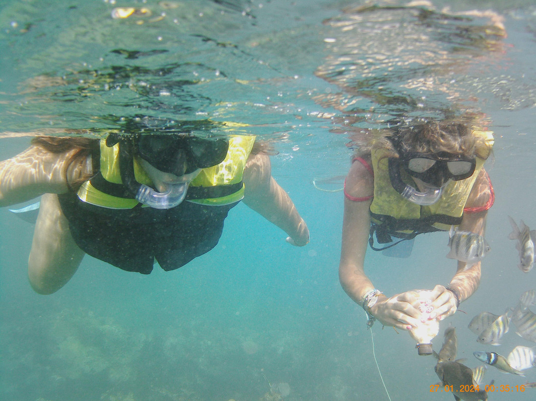 Snorkeling Tour Varadero-巴拉德罗必去景点
