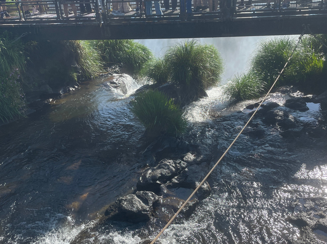 Iguazu Jungle-伊瓜苏港必去景点