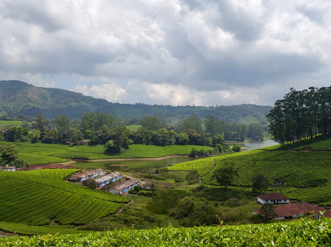 Meghamalai - High Wavy Mountains-Theni必去景点