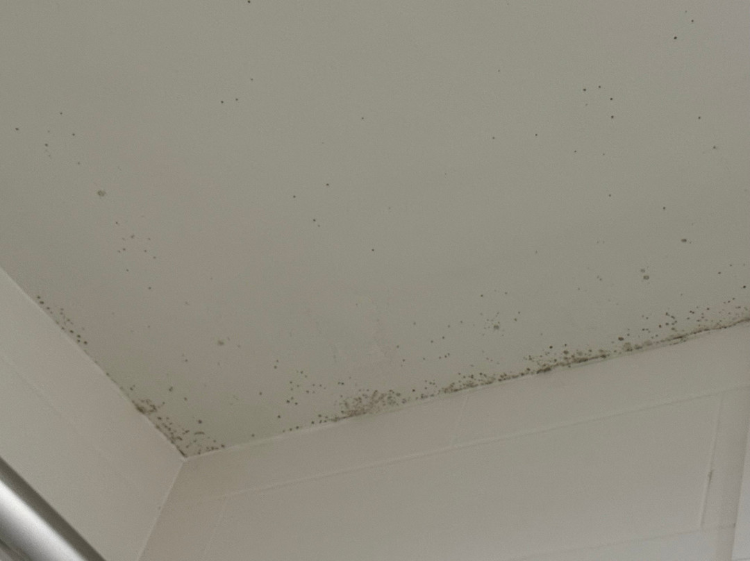 希尔顿欢朋套房酒店-达拉斯迪索托主图