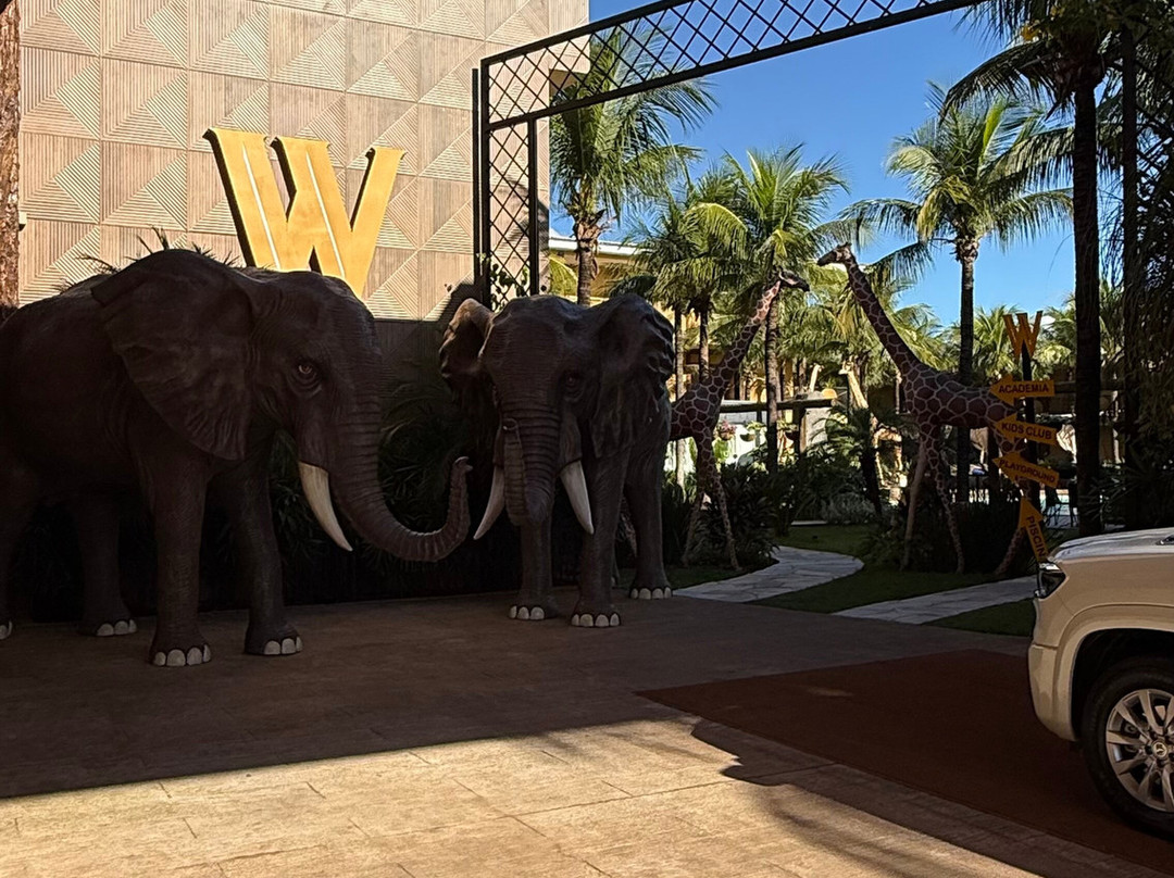 瓦坎达酒店主图