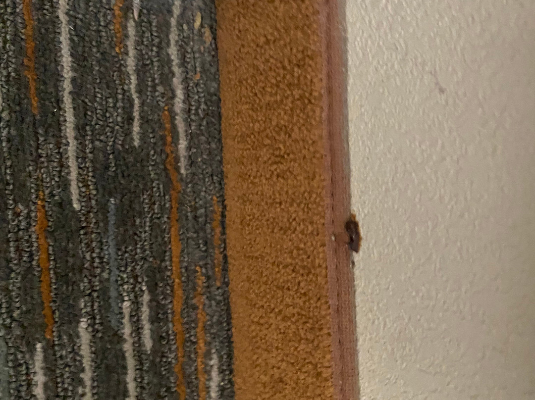 查塔努加蔚景温德姆酒店主图