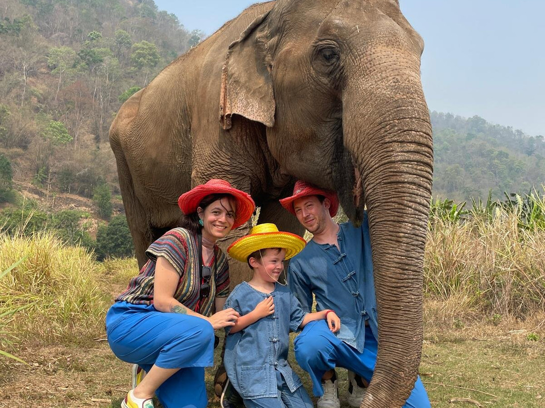 Doi Lom Elephant Rescue Sanctuary-夜登必去景点