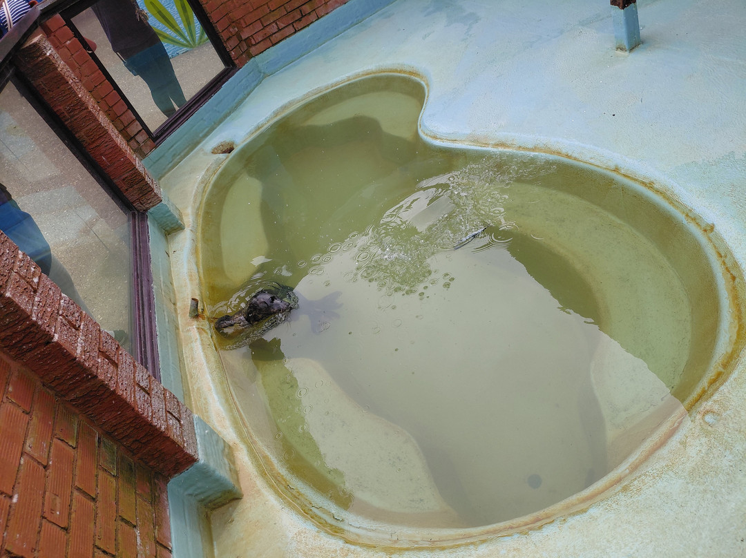 Mablethorpe Seal Sanctuary and Wildlife Centre-Mablethorpe必去景点