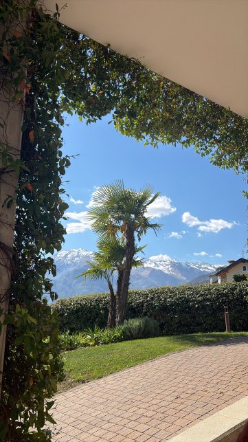 蕾佳娜酒店-官方