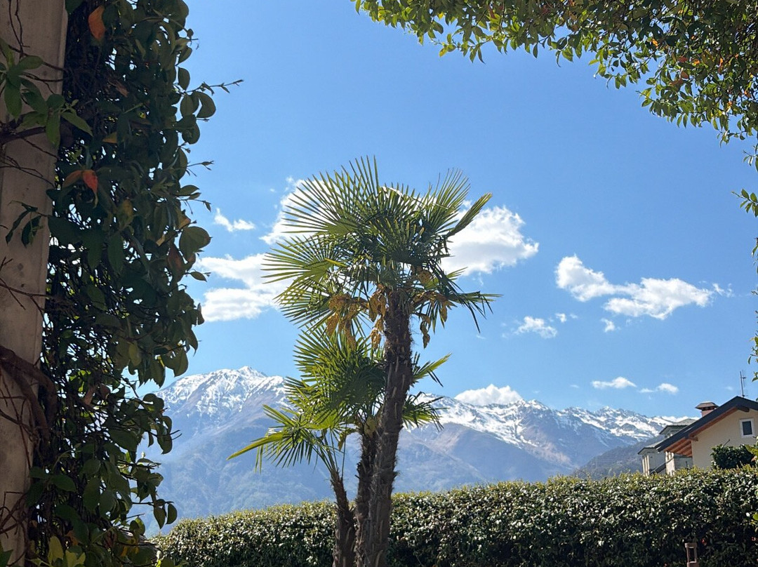 蕾佳娜酒店主图