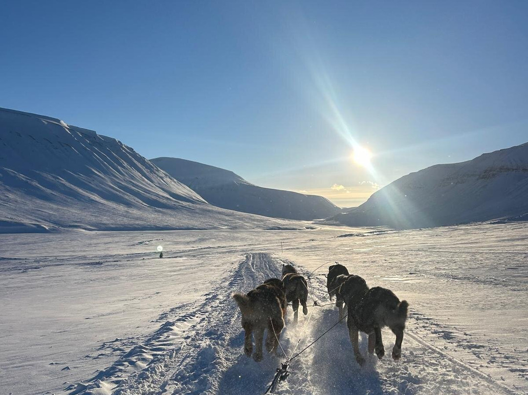 Green Dog Svalbard-朗伊尔城必去景点