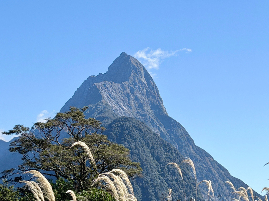 Escape Adventures Nz-阿什伯顿必去景点