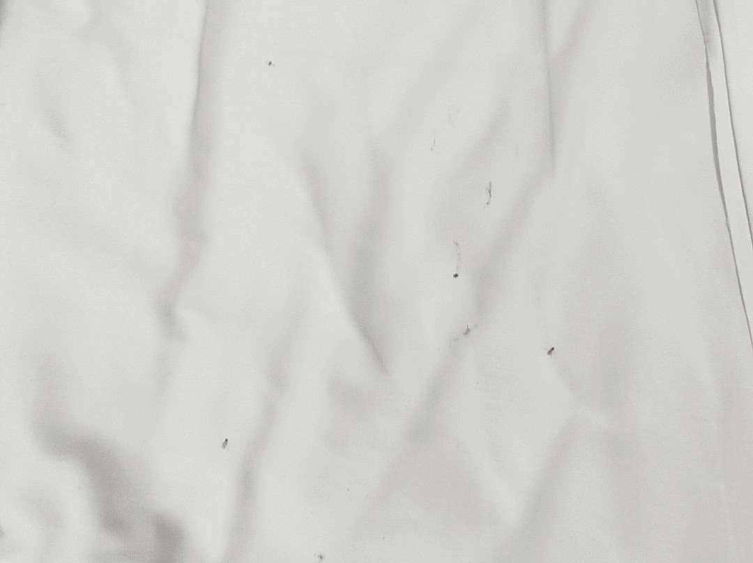 Hacienda Panoaya-Amecameca必去景点