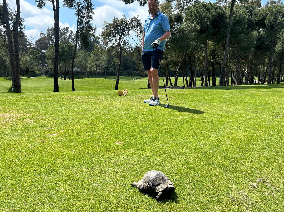 贝莱克Sueno高尔夫酒店主图