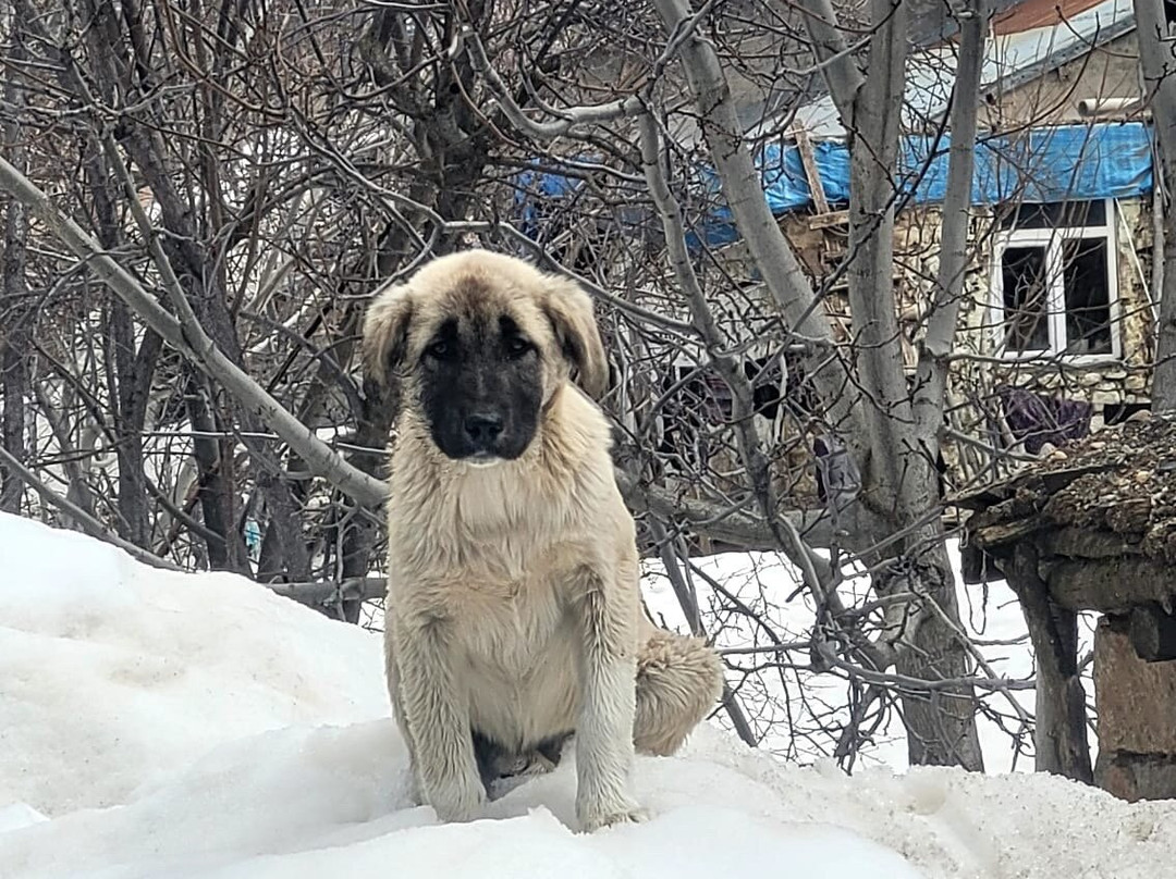 Munzur Gozeleri-Tunceli必去景点