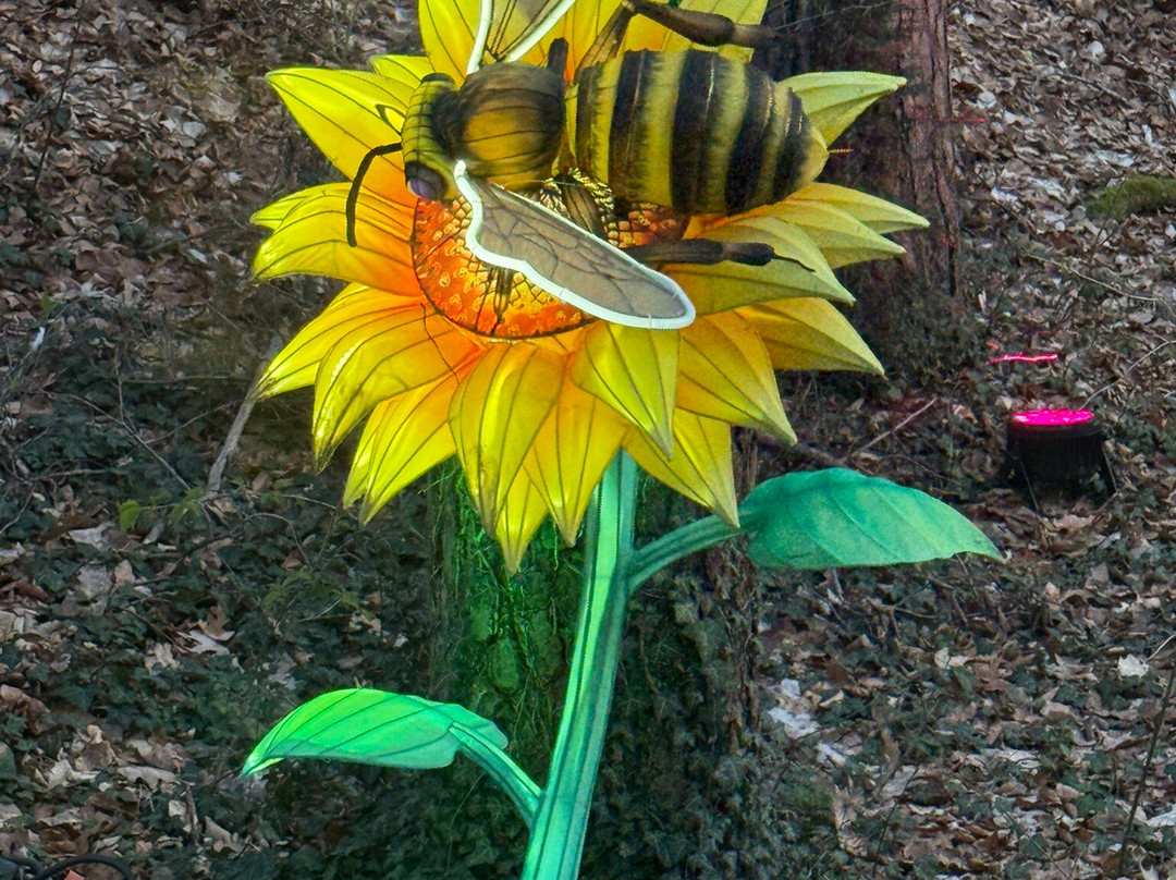 Gartenschau Bad Lippspringe-Bad Lippspringe必去景点